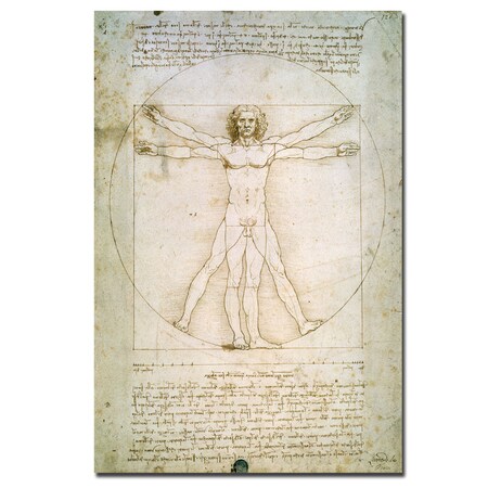 Trademark Fine Art Leonardo da Vinci; 'The Proportions of the Human Figure', 30x47 BL0006-C3047GG